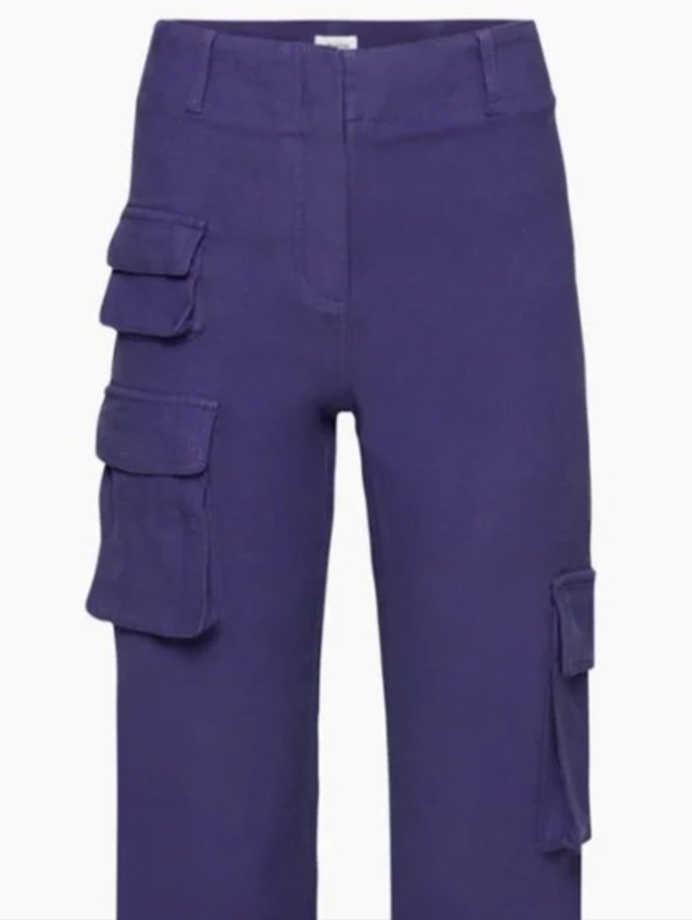 11. Aritzia Wilfred Free‎ Size 4 Purple Picture Cargo Pant